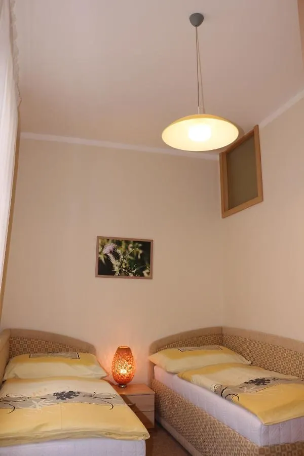 Homely Apartments Villa Christiana Marianske Lazne