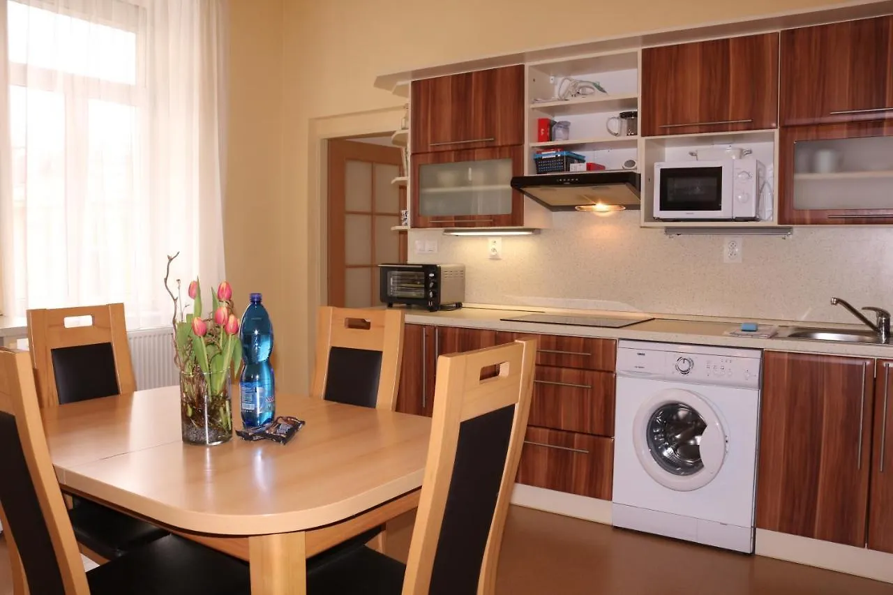 Homely Apartments Villa Christiana  Marianske Lazne