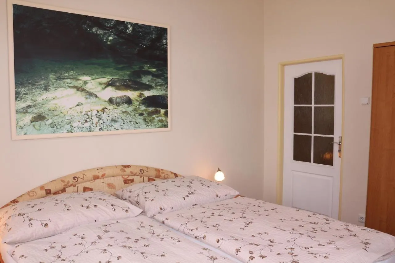 Homely Apartments Villa Christiana