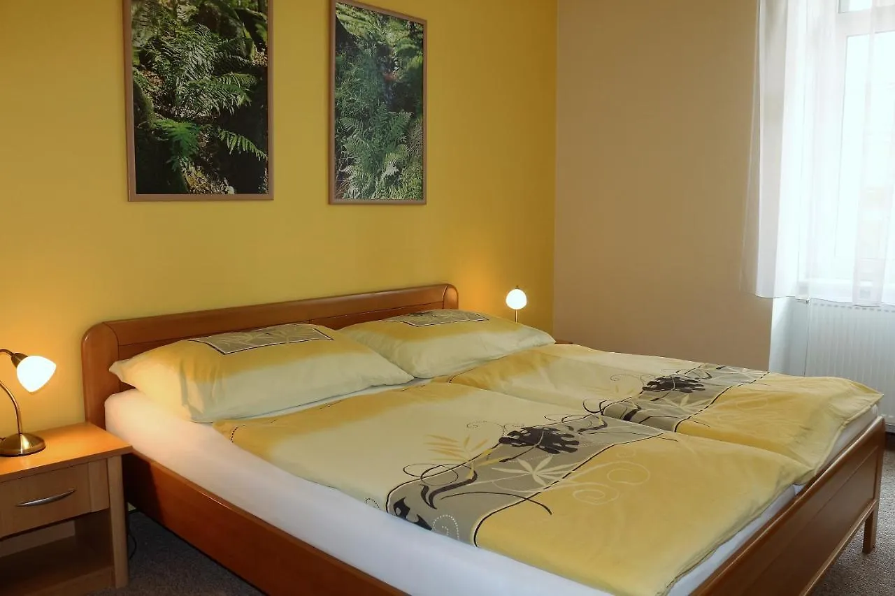 Homely Apartments Villa Christiana  Marianske Lazne