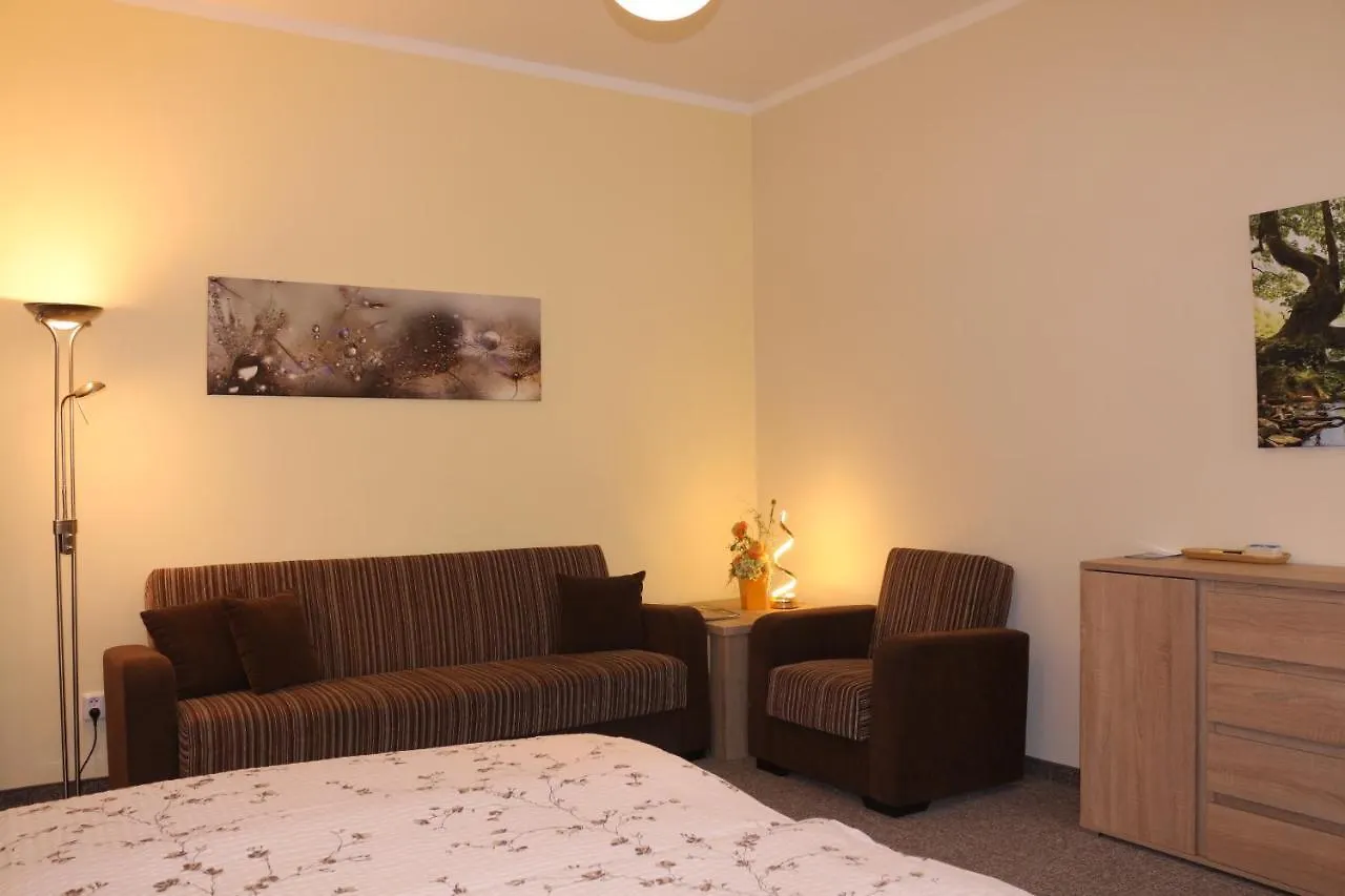 Homely Apartments Villa Christiana  Marianske Lazne